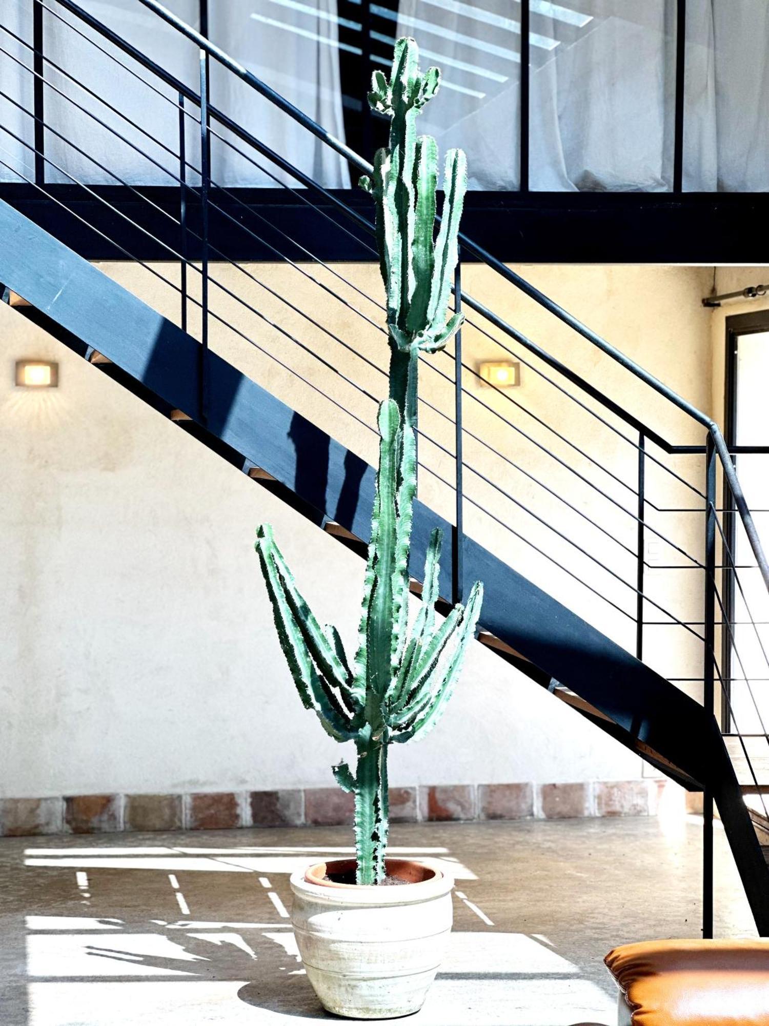 Villa Magnifique Loft - Piscine - Tennis - Babyfoot Nîmes